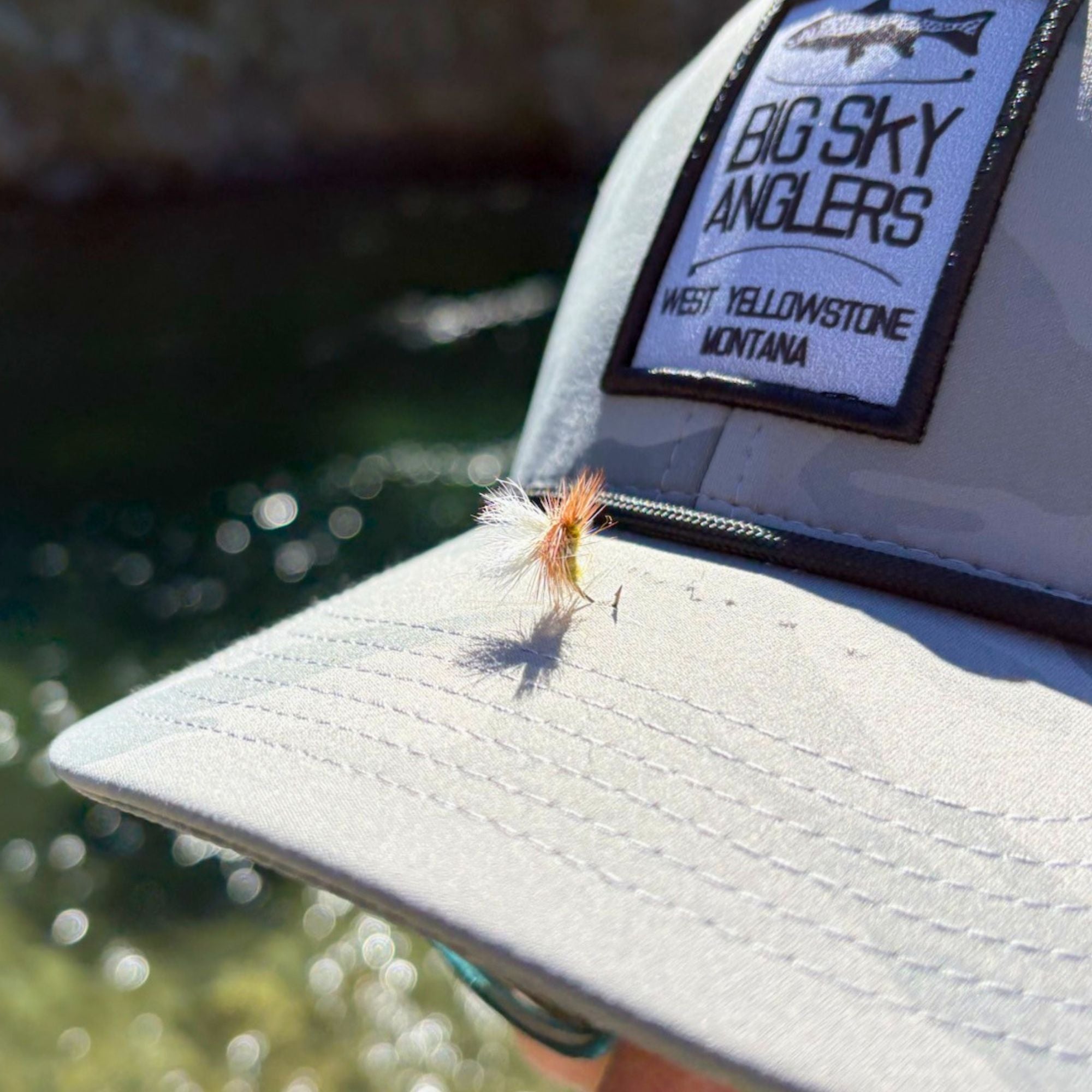 Category 3 Flies Border Patrol - Olive