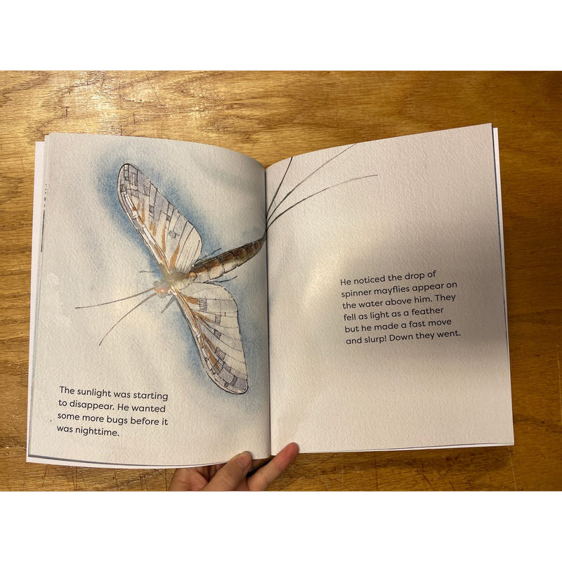 Clarkii Eats Bugs - Children's Book