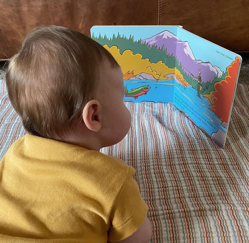 Match The Hatch - Childrens Book