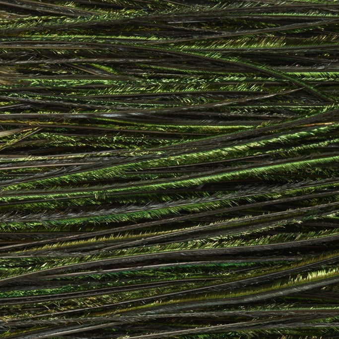 Fulling Mill Premium Selected Peacock Herl