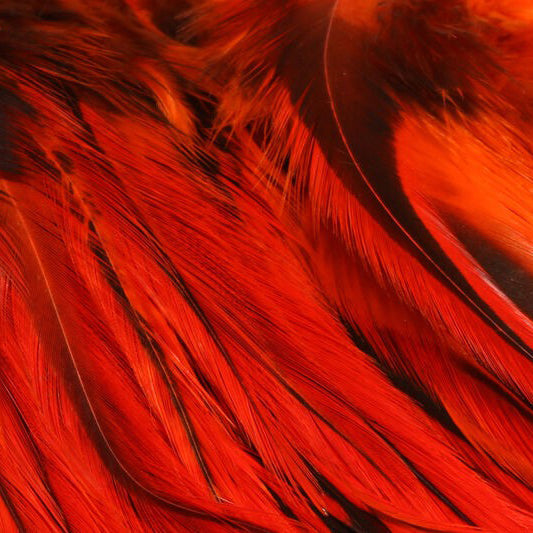 Hareline Badger Saddle Hackle 5-7 inch