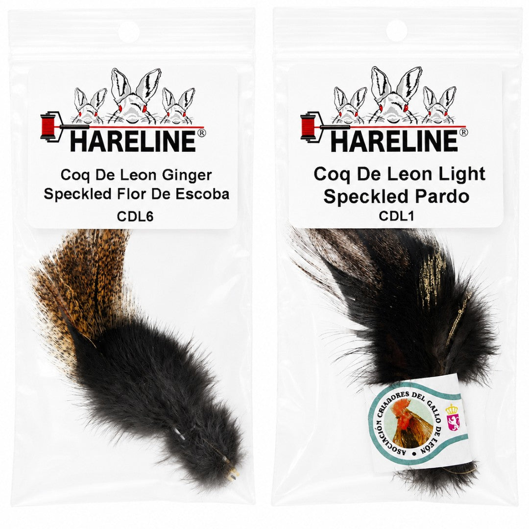 Hareline Coq De Leon