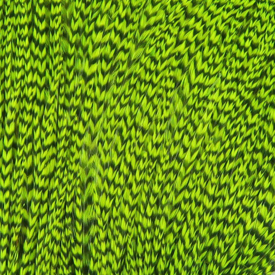 Hareline Half Cape
