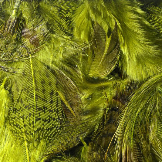 Hareline Premium Hungarian Partridge Feathers