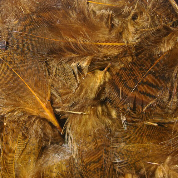 Hareline Premium Hungarian Partridge Feathers