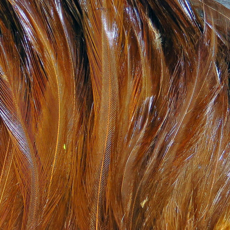 Hareline Saltwater Neck Hackle
