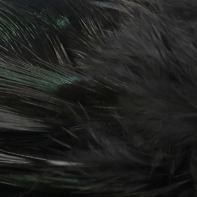 Hareline Strung Ringneck Pheasant Rump Feathers