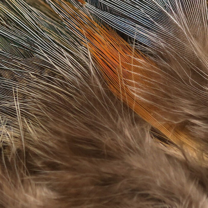 Hareline Strung Ringneck Pheasant Rump Feathers