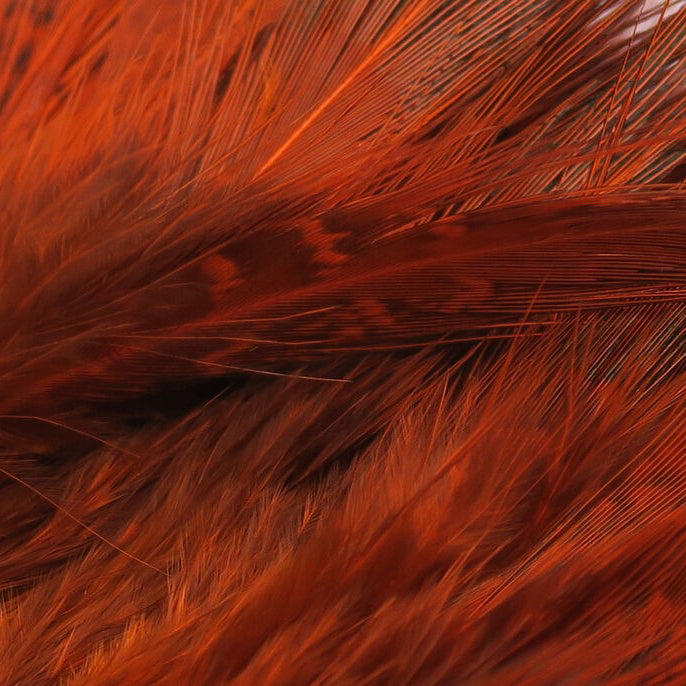Hareline Strung Ringneck Pheasant Rump Feathers