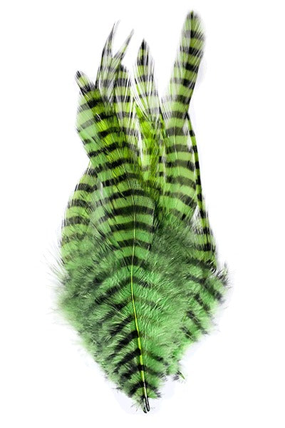 Montana Fly Company Barred Saddle Hackle