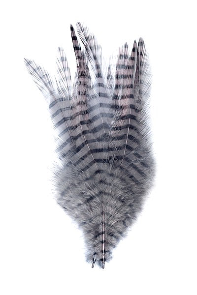 Montana Fly Company Barred Saddle Hackle