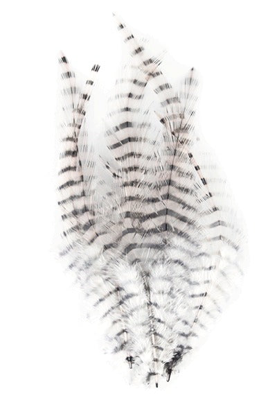 Montana Fly Company Barred Saddle Hackle