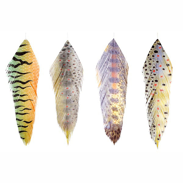Montana Fly Company Galloup's Fish Feathers