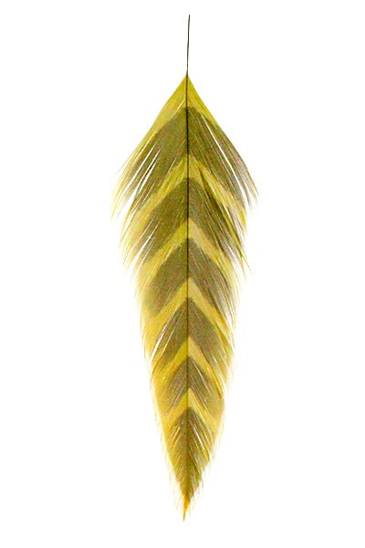 Montana Fly Company Galloup's Fish Feathers - Arrowhead