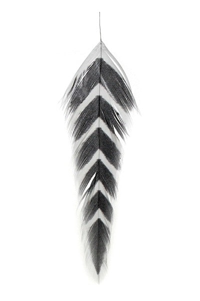Montana Fly Company Galloup's Fish Feathers - Arrowhead