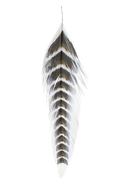 Montana Fly Company Galloup's Fish Feathers - Grizzled