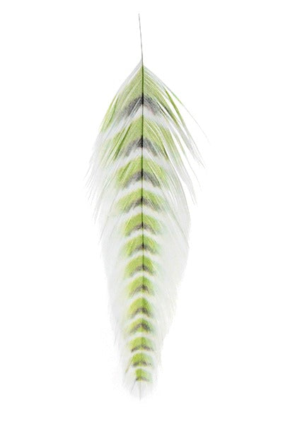 Montana Fly Company Galloup's Fish Feathers - Grizzled