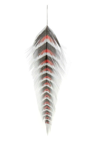 Montana Fly Company Galloup's Fish Feathers - Grizzled