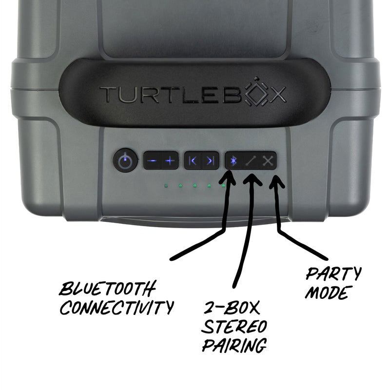 Turtle Box Cub