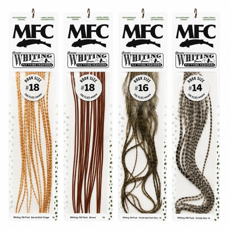 Whiting Farms Whiting 100 Pack