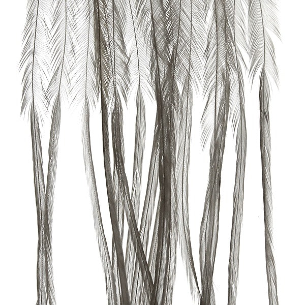 Whiting Farms Whiting 100 Pack
