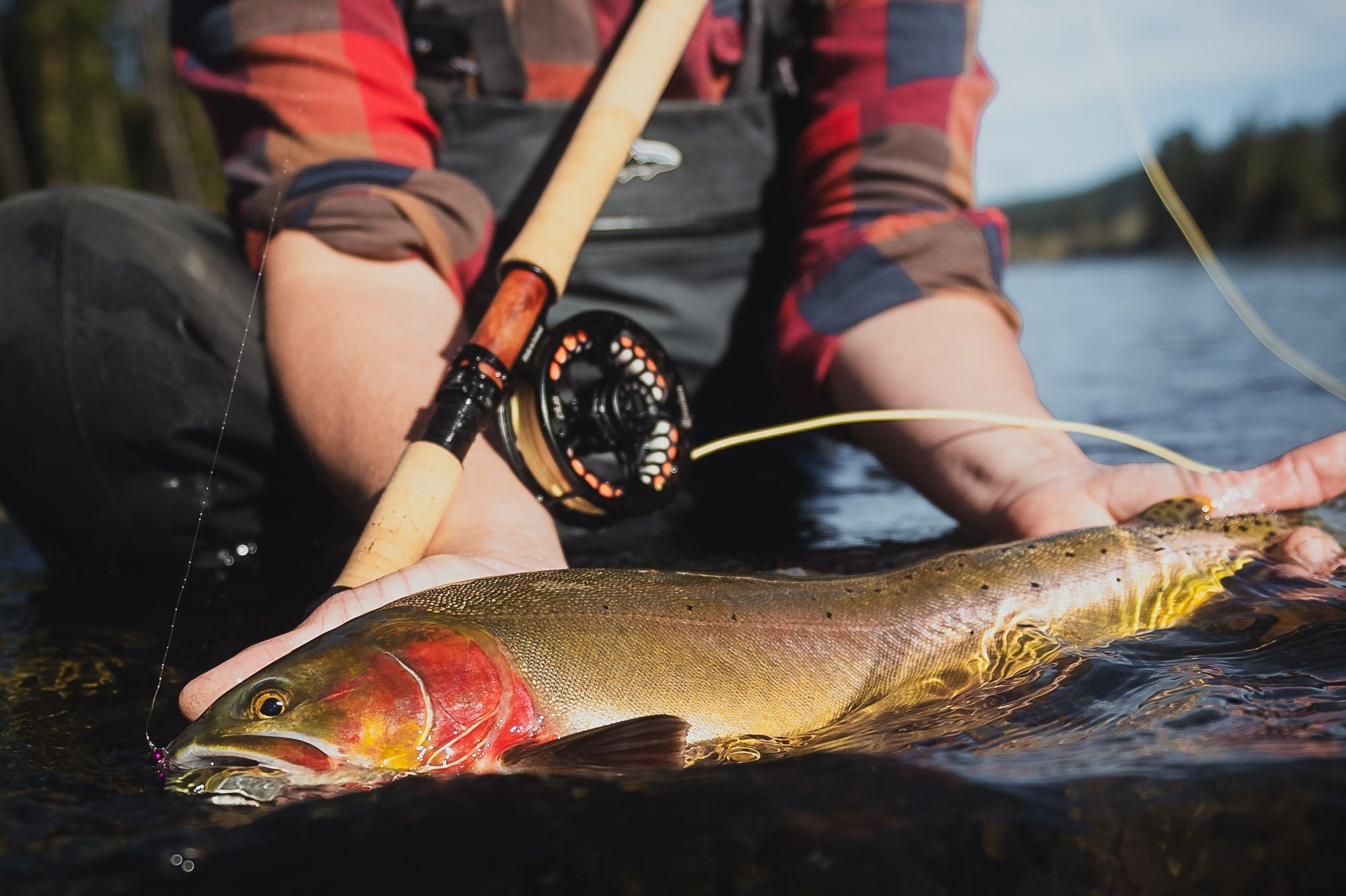 Nam Trout Spey Original 6-Piece Rod Review – 11'6” 3-Weight & 12'0