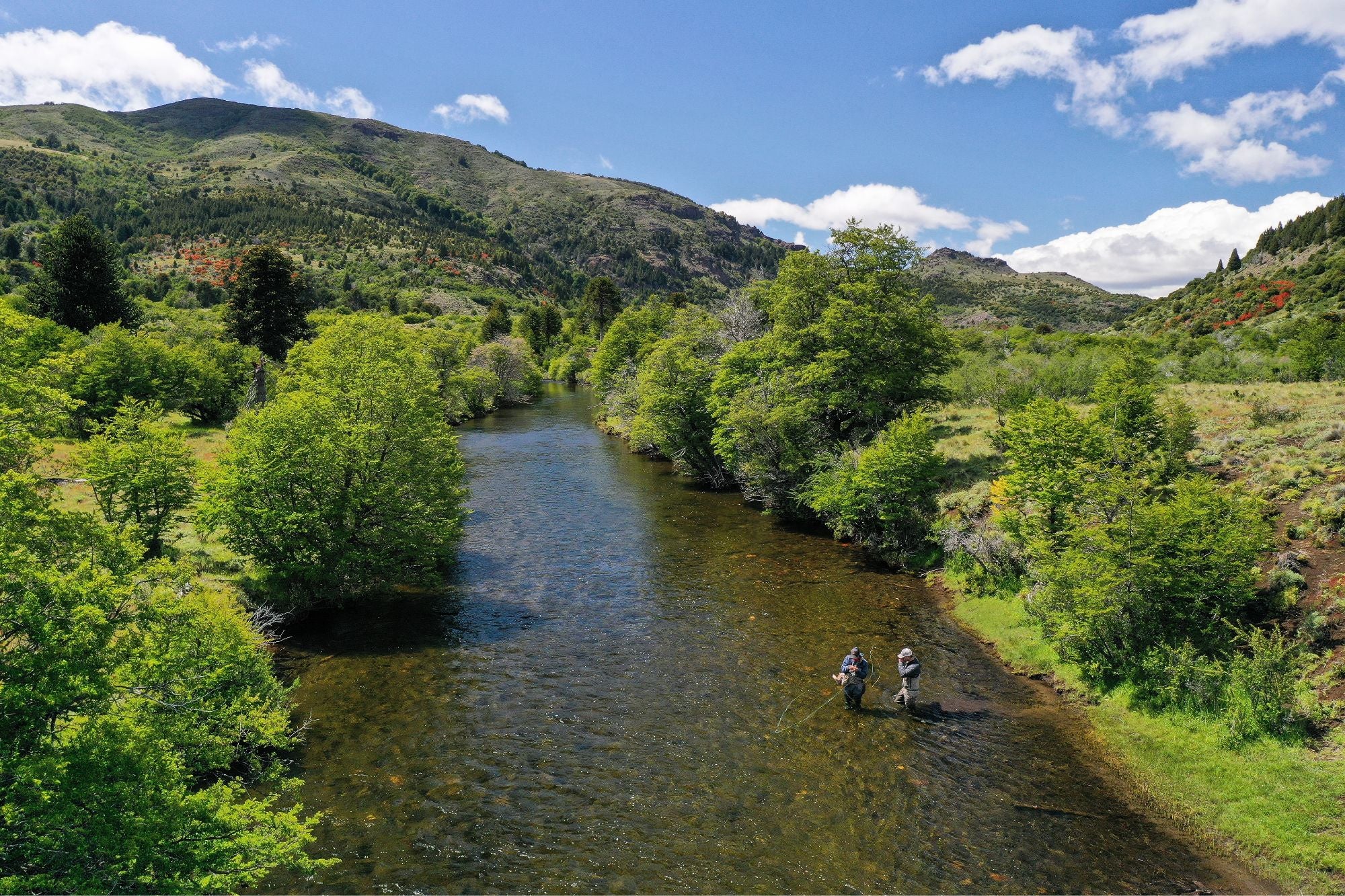 Northern Patagonia Collection – Big Sky Anglers