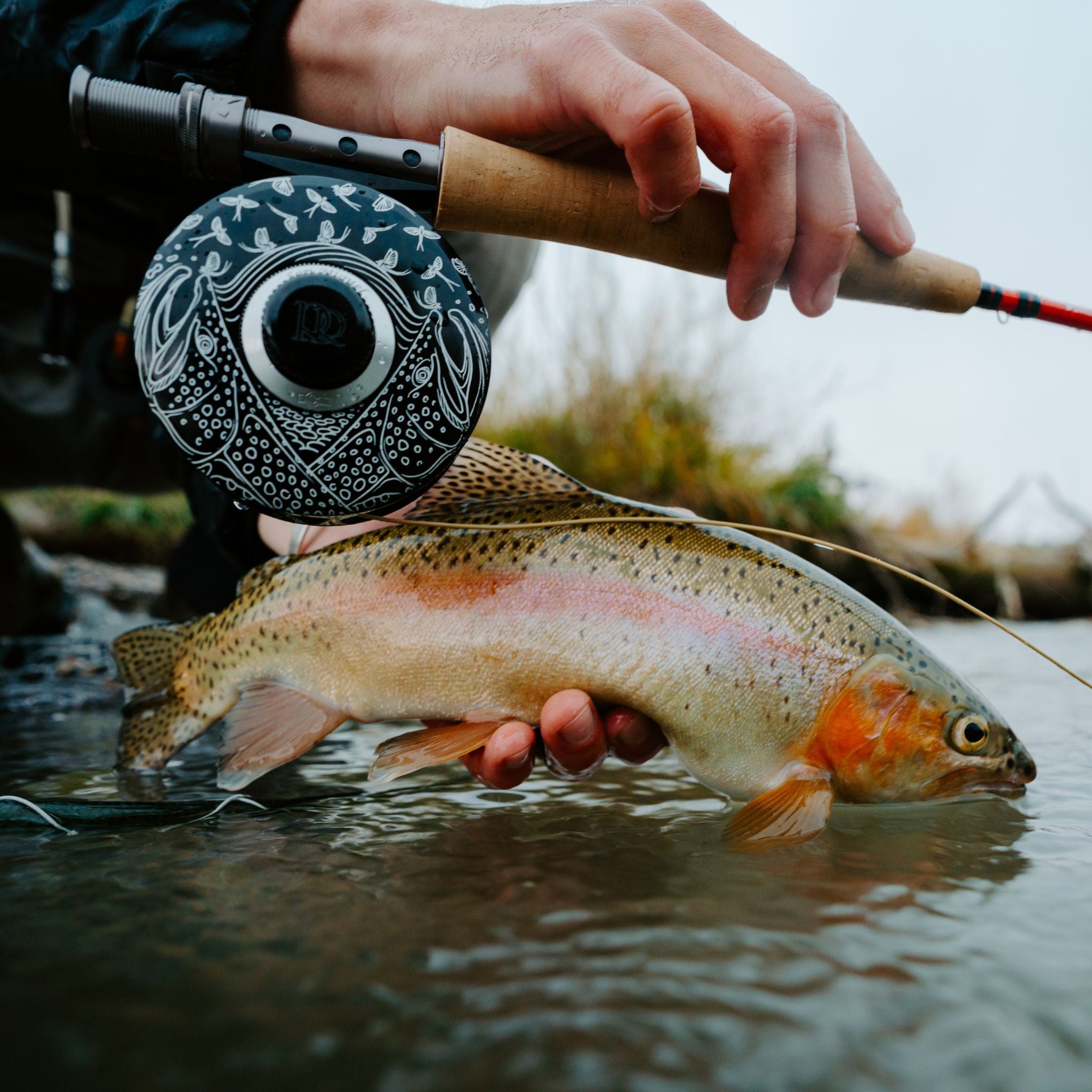 Ross Reels Casey Underwood Edition Ridge Risers Gloss Black San Miguel 5/6