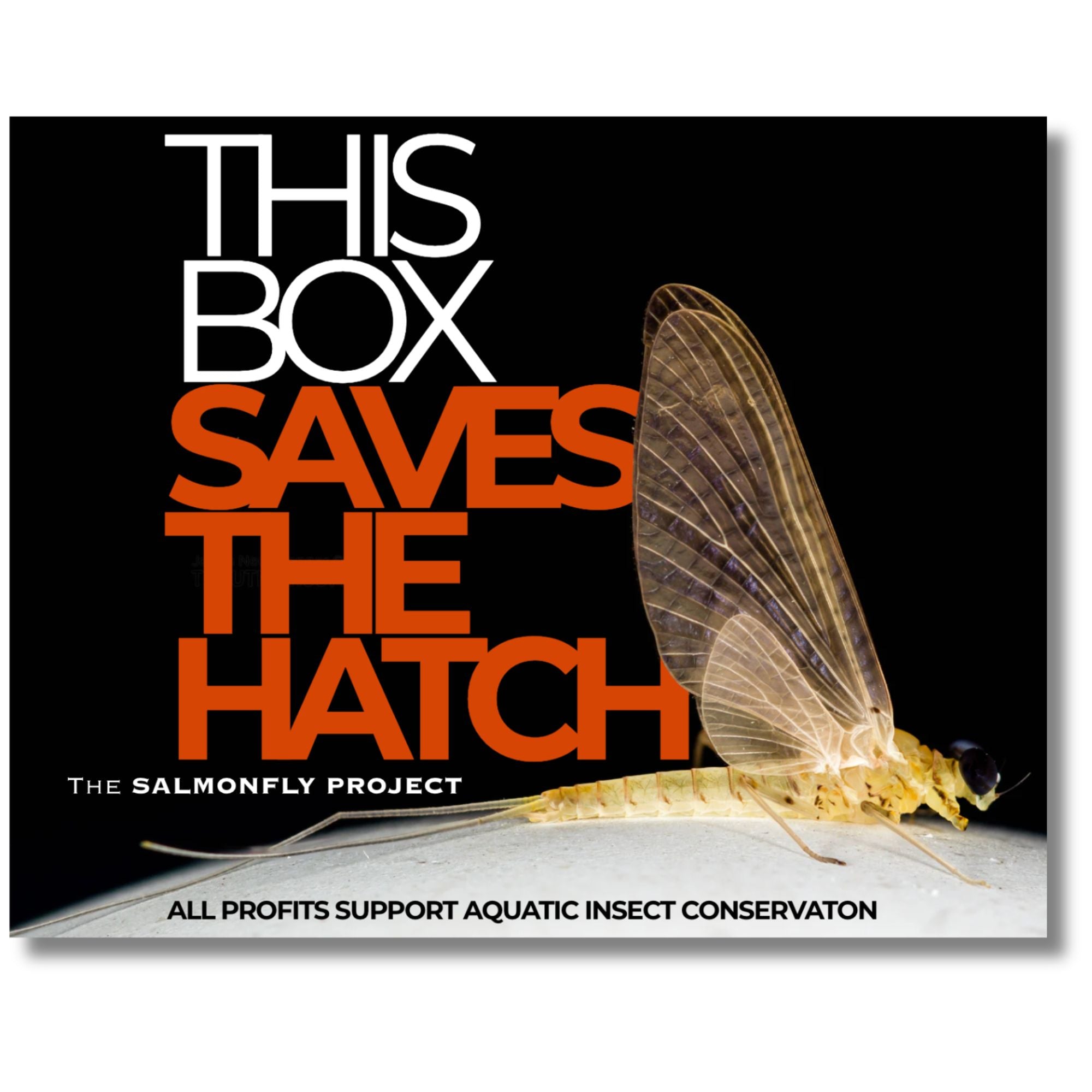 Salmonfly Project Super Hatch Waterproof Fly Box – Montana Fly Company