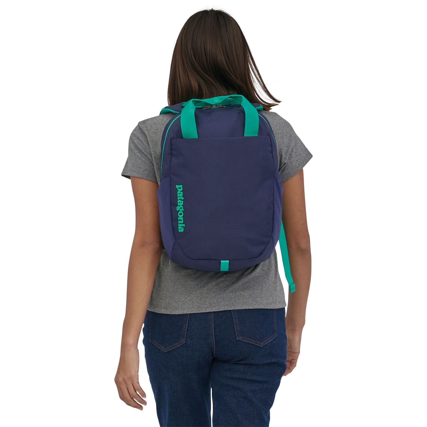 Patagonia Atom Tote Pack 20L Canyon Brown
